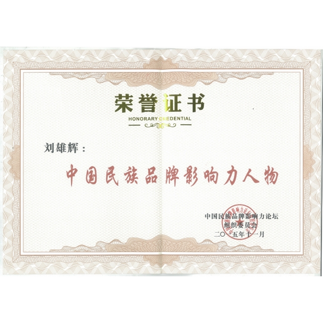 中国民族品牌影响力人物 